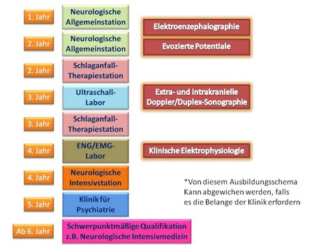 Ausbildungscurriculum